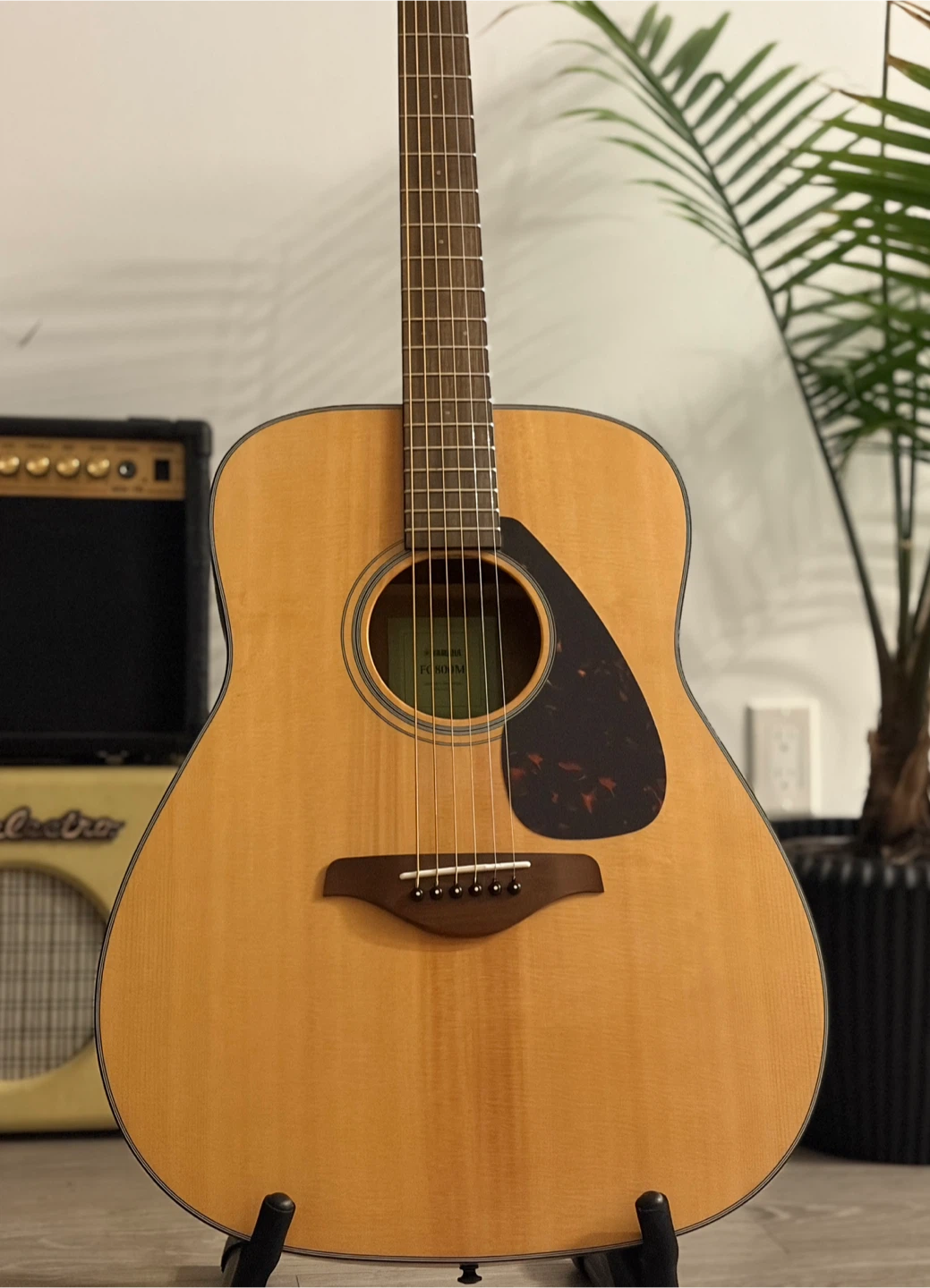 Yamaha FG800M Acoustic Guitar like new