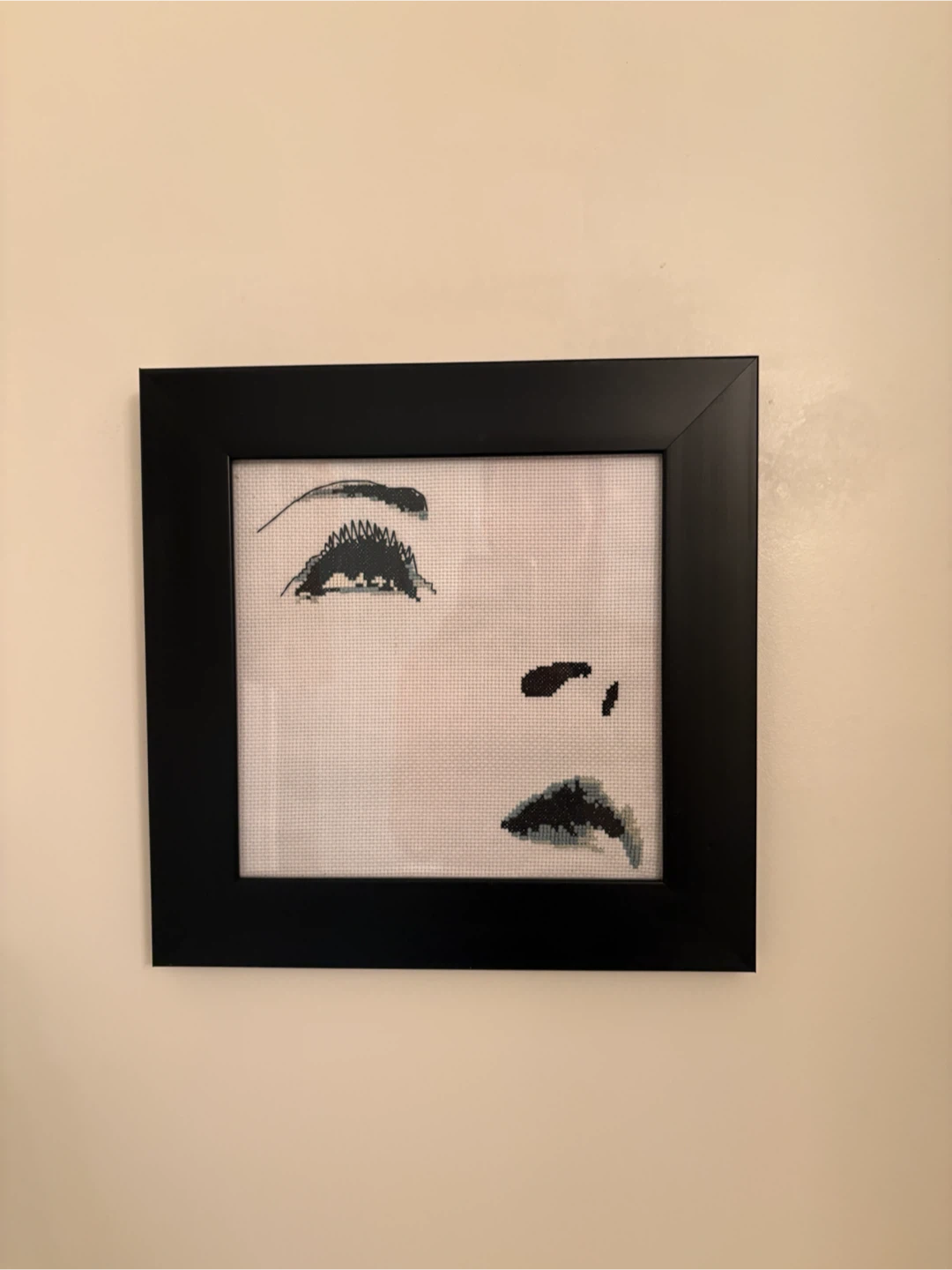 Framed Face Cross Stitch Art
