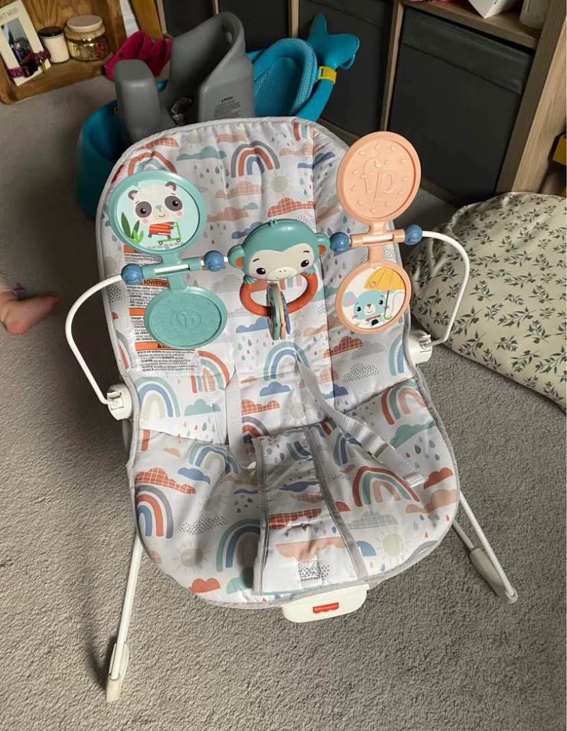 Fisher-Price Infant Baby Bouncer