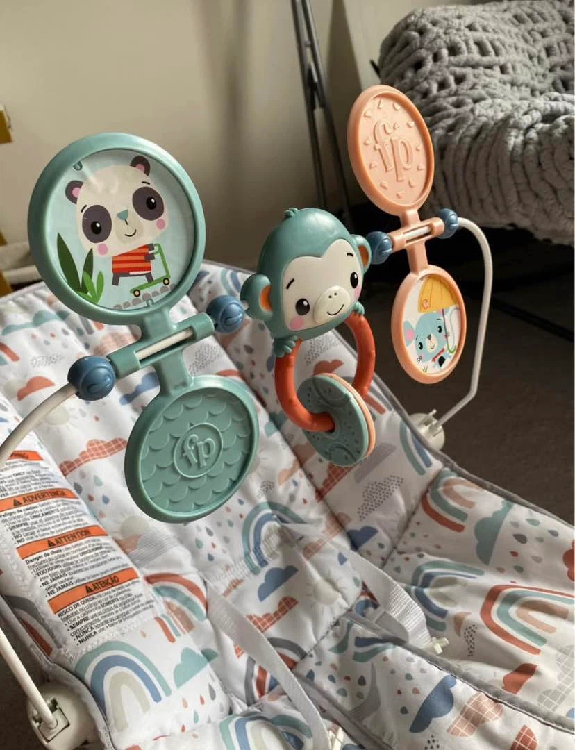 Fisher-Price Infant Baby Bouncer - photo 4