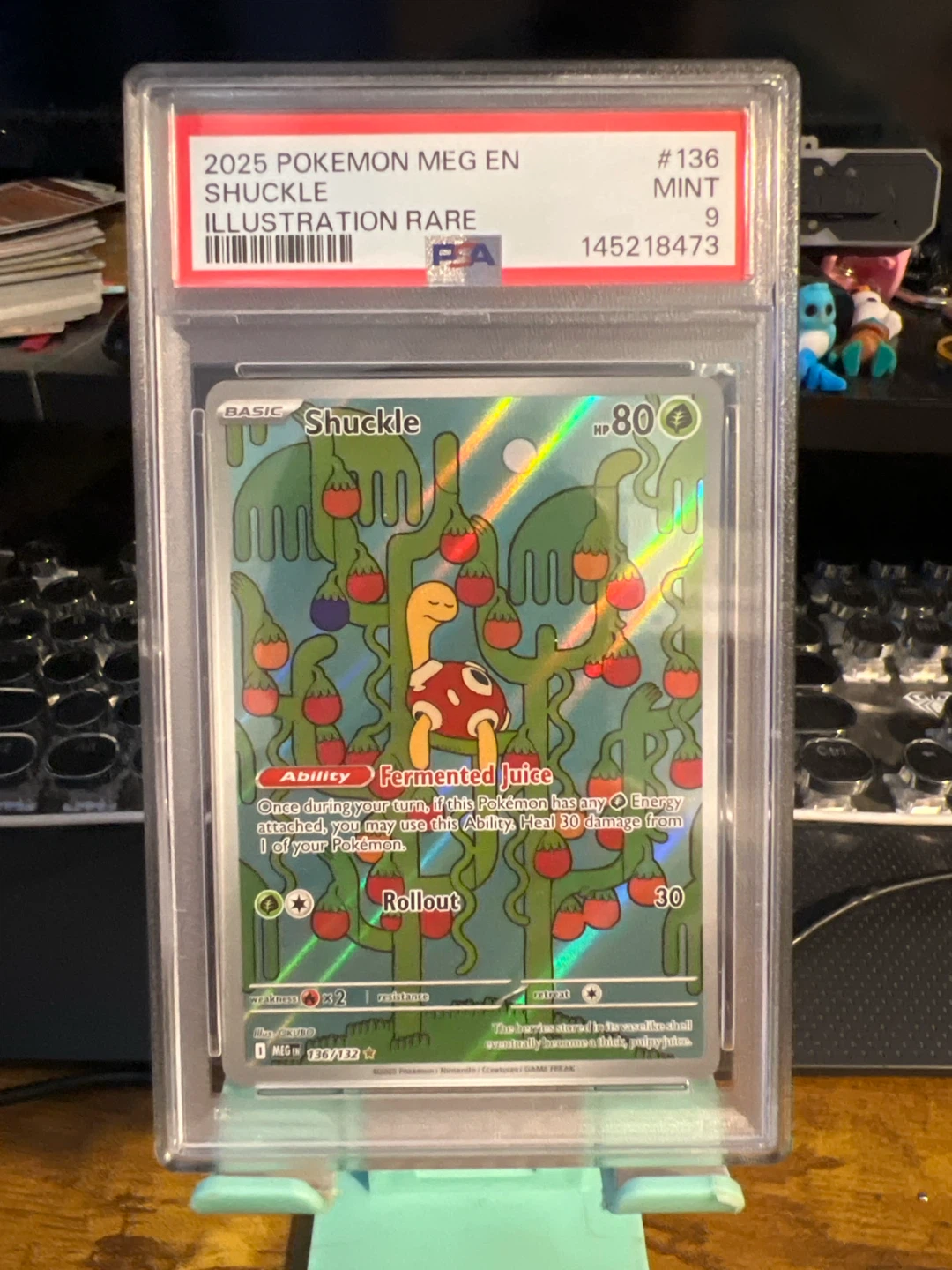 Pokémon slab