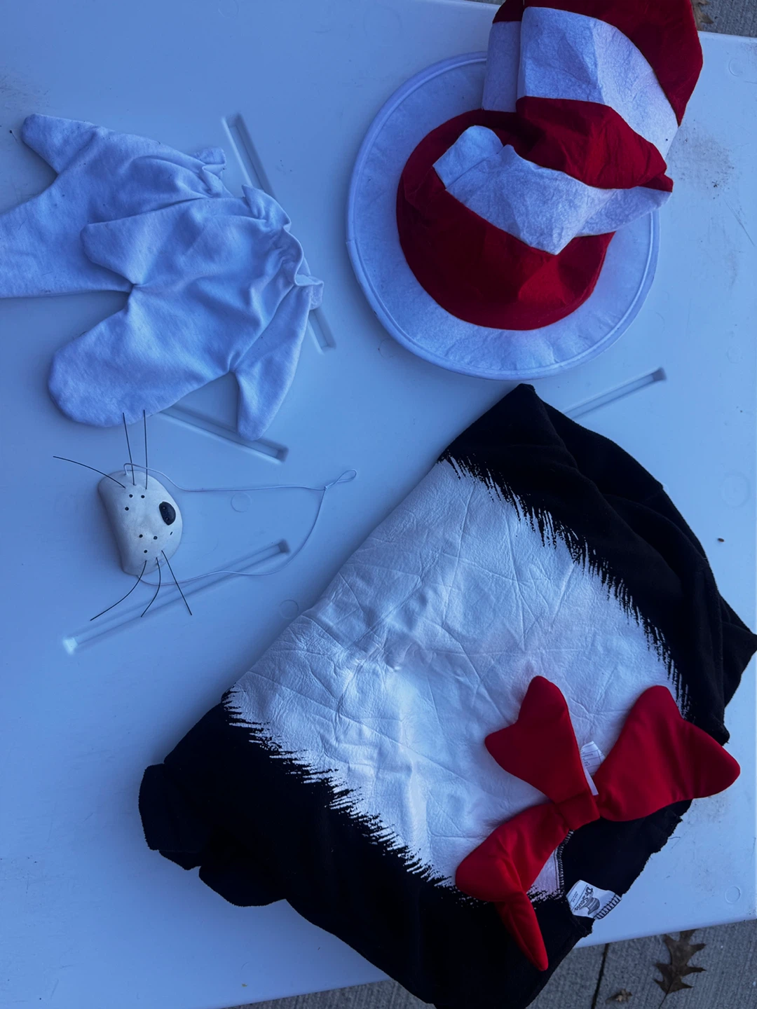 Dr. Seuss Cat in the Hat Costume