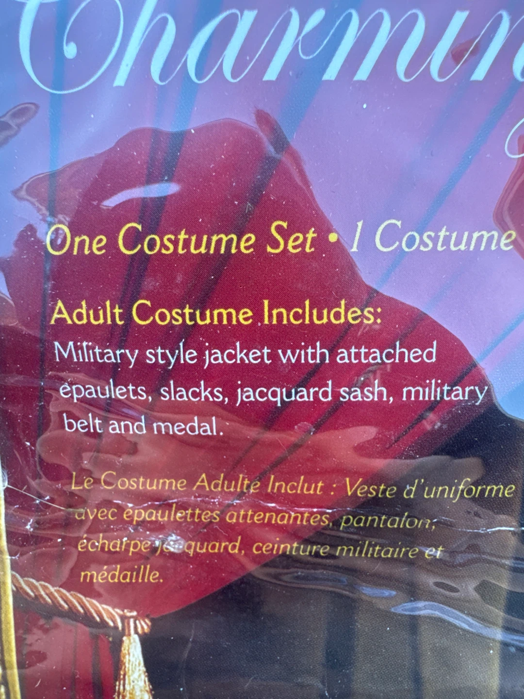 InCharacter Prince Charming Adult Costume Set - photo 2