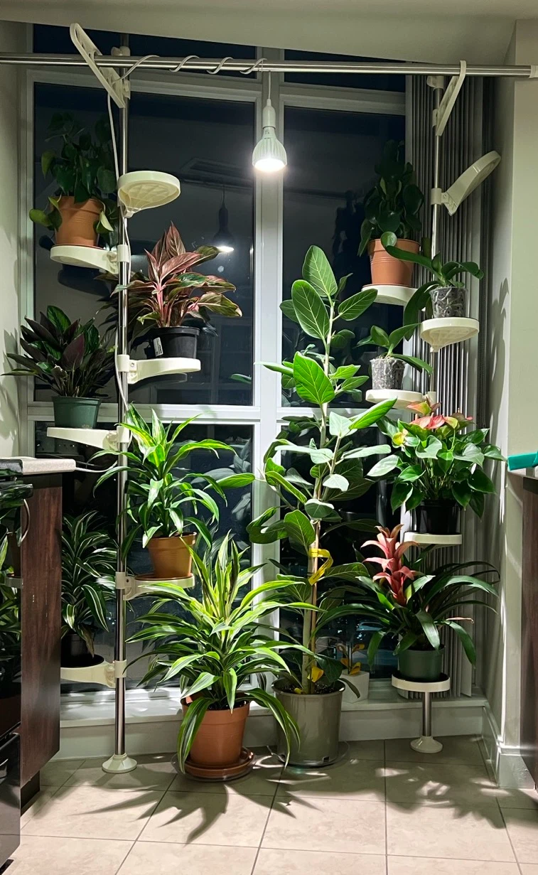 Premium Soltech Grow Lights (1 Aspect White, 4 Vista)