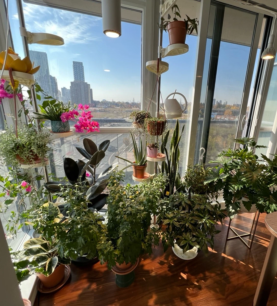 Premium Soltech Grow Lights (1 Aspect White, 4 Vista) - photo 3