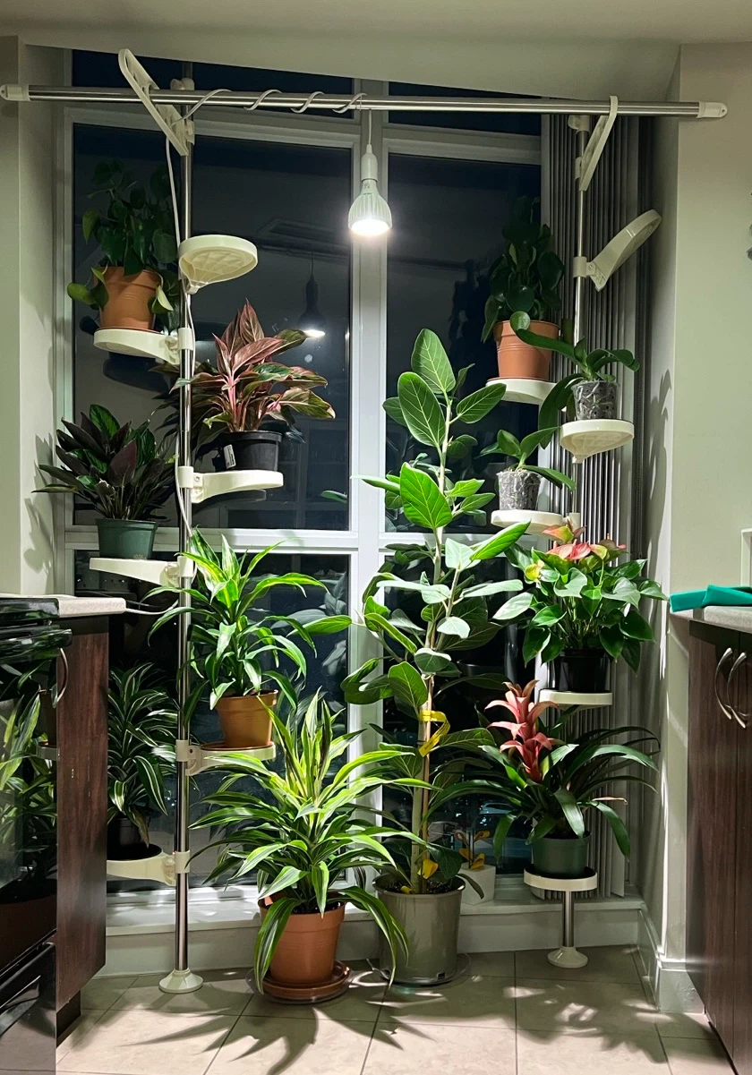 Premium Soltech Grow Lights (1 Aspect White, 4 Vista) - photo 4