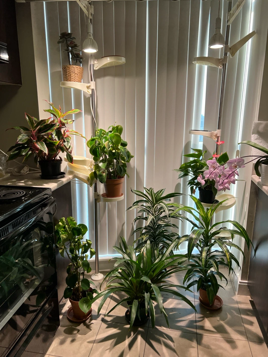 Premium Soltech Grow Lights (1 Aspect White, 4 Vista) - photo 5