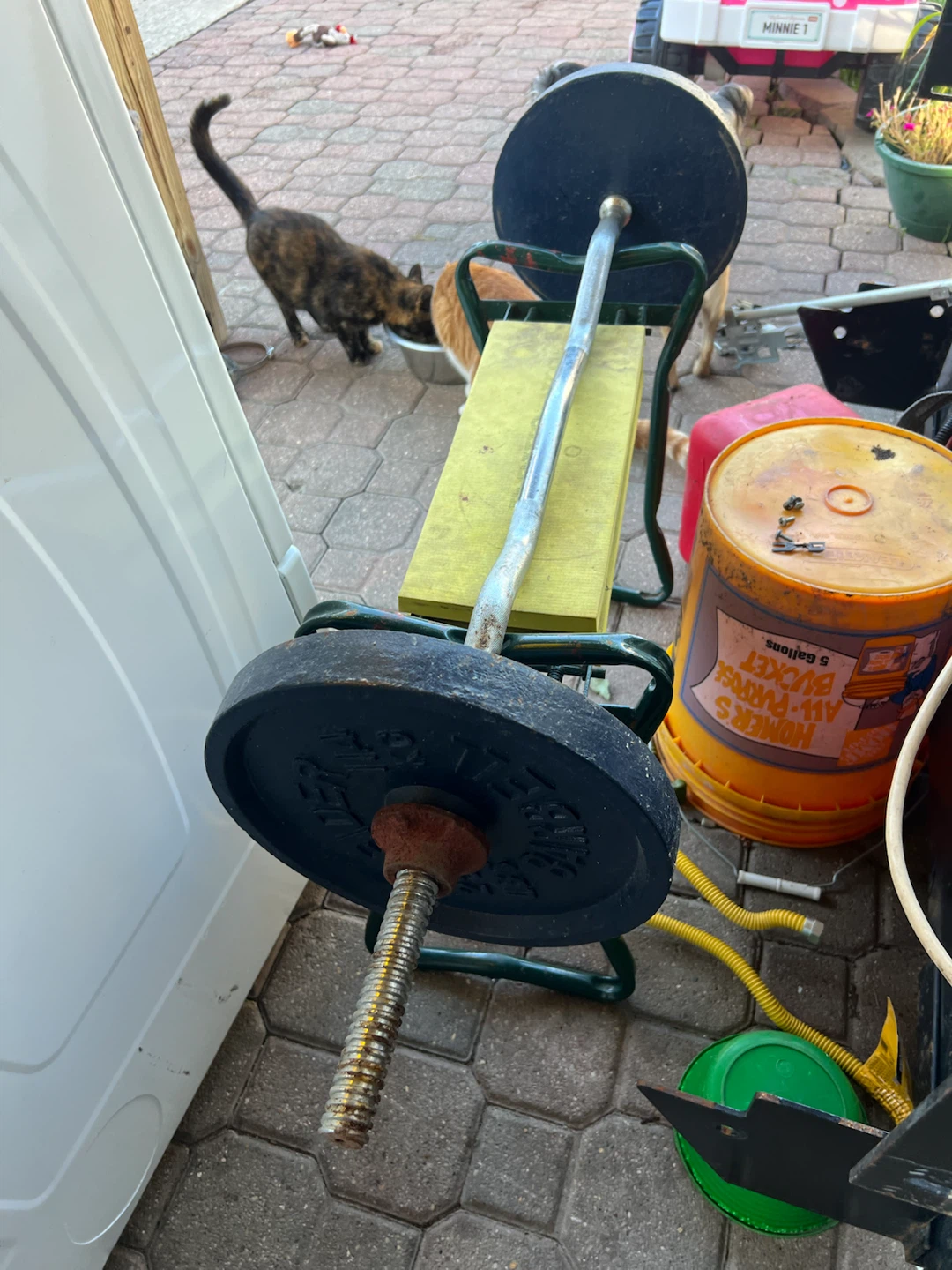 Weider Barbell with Weights