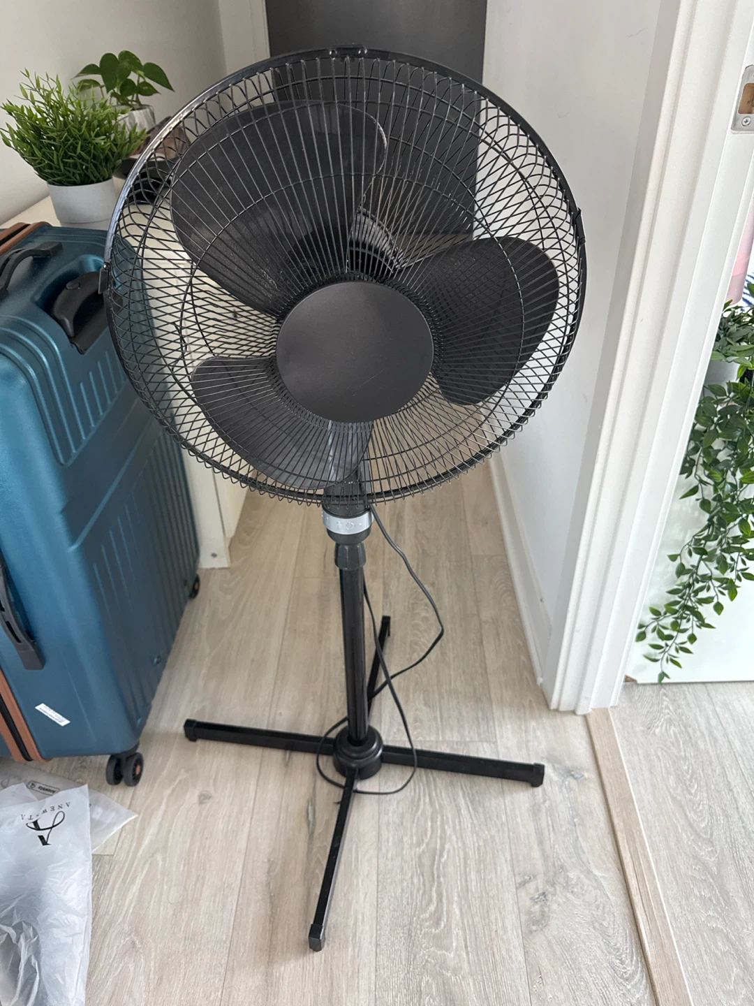 Black Standing Pedestal Fan
