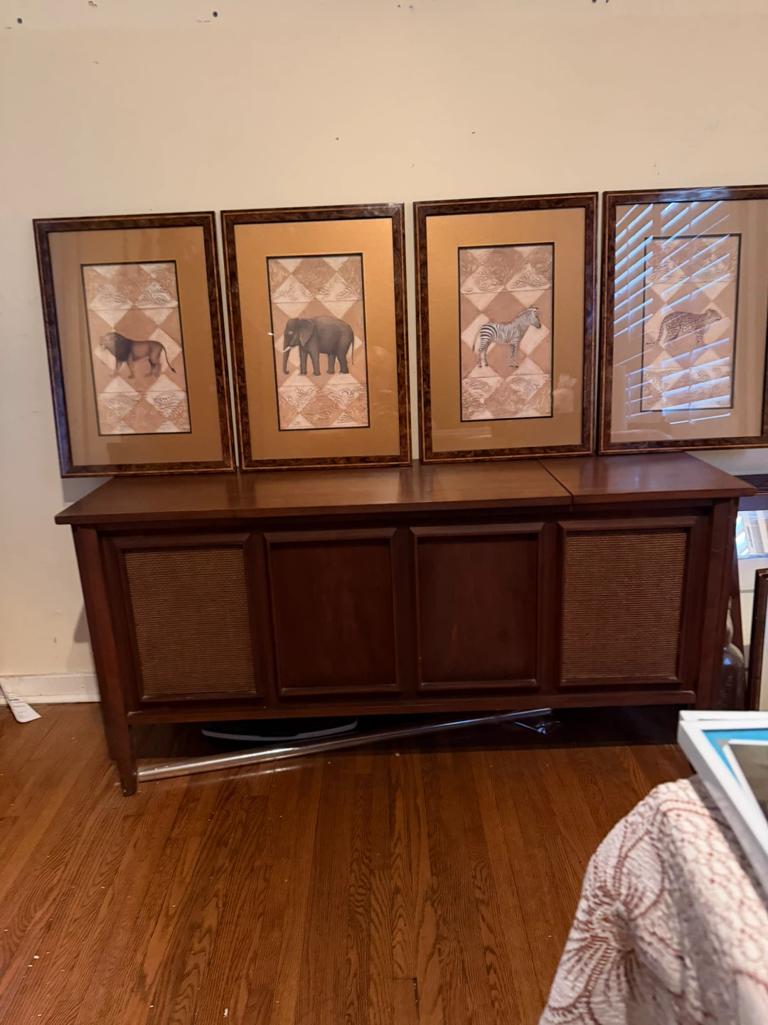 Set of 4 Framed Animal Art Prints