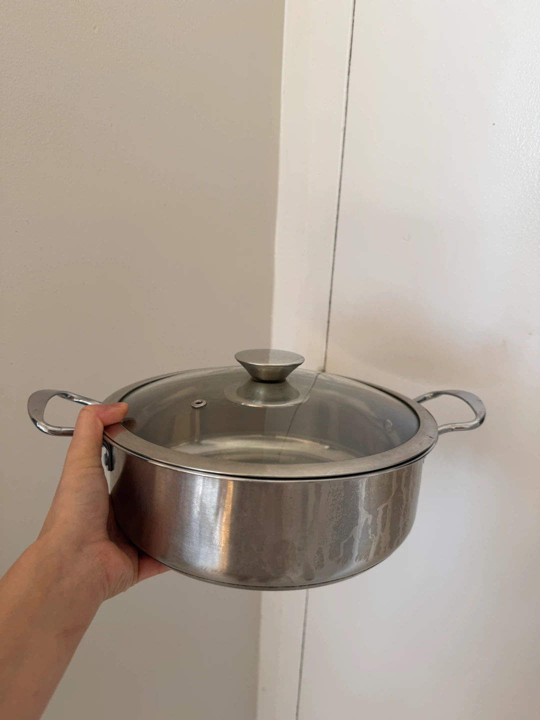 Stainless Steel Cooking Pot with Glass Lid