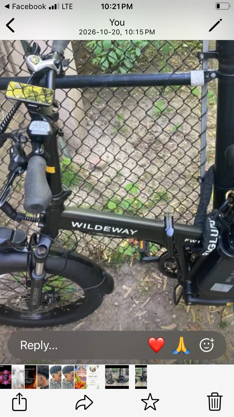 Wildeway FW11 3.0 Pro Folding Electric Bike