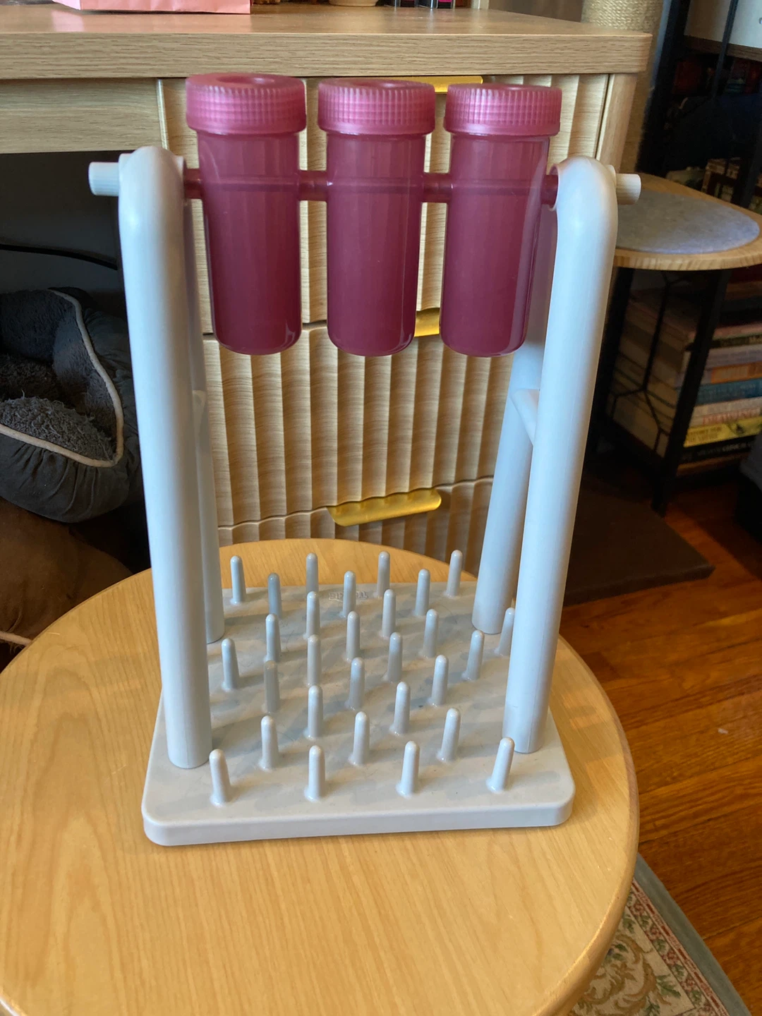 Interactive Cat Treat Toy