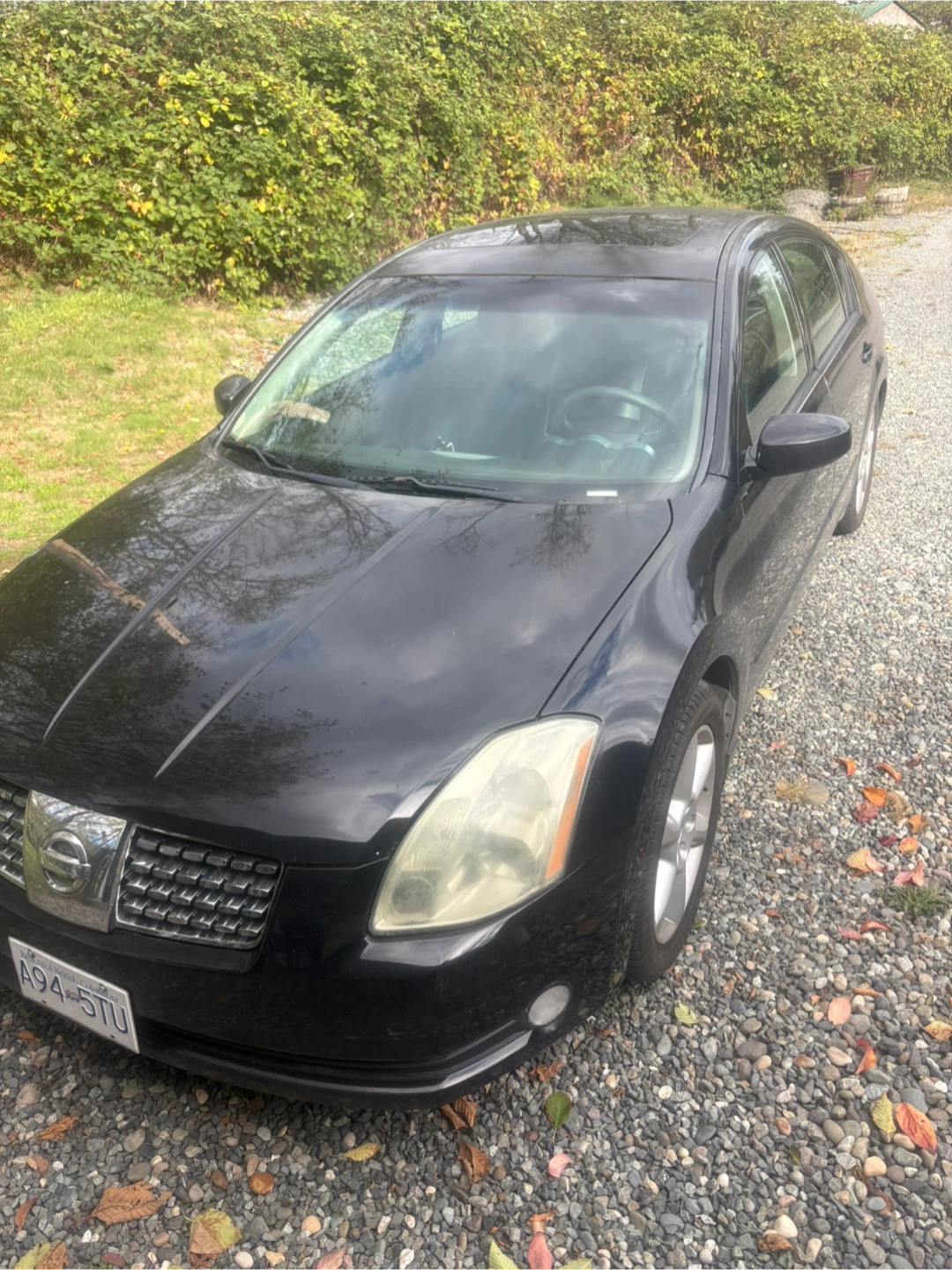 Nissan Maxima 3.5 V6