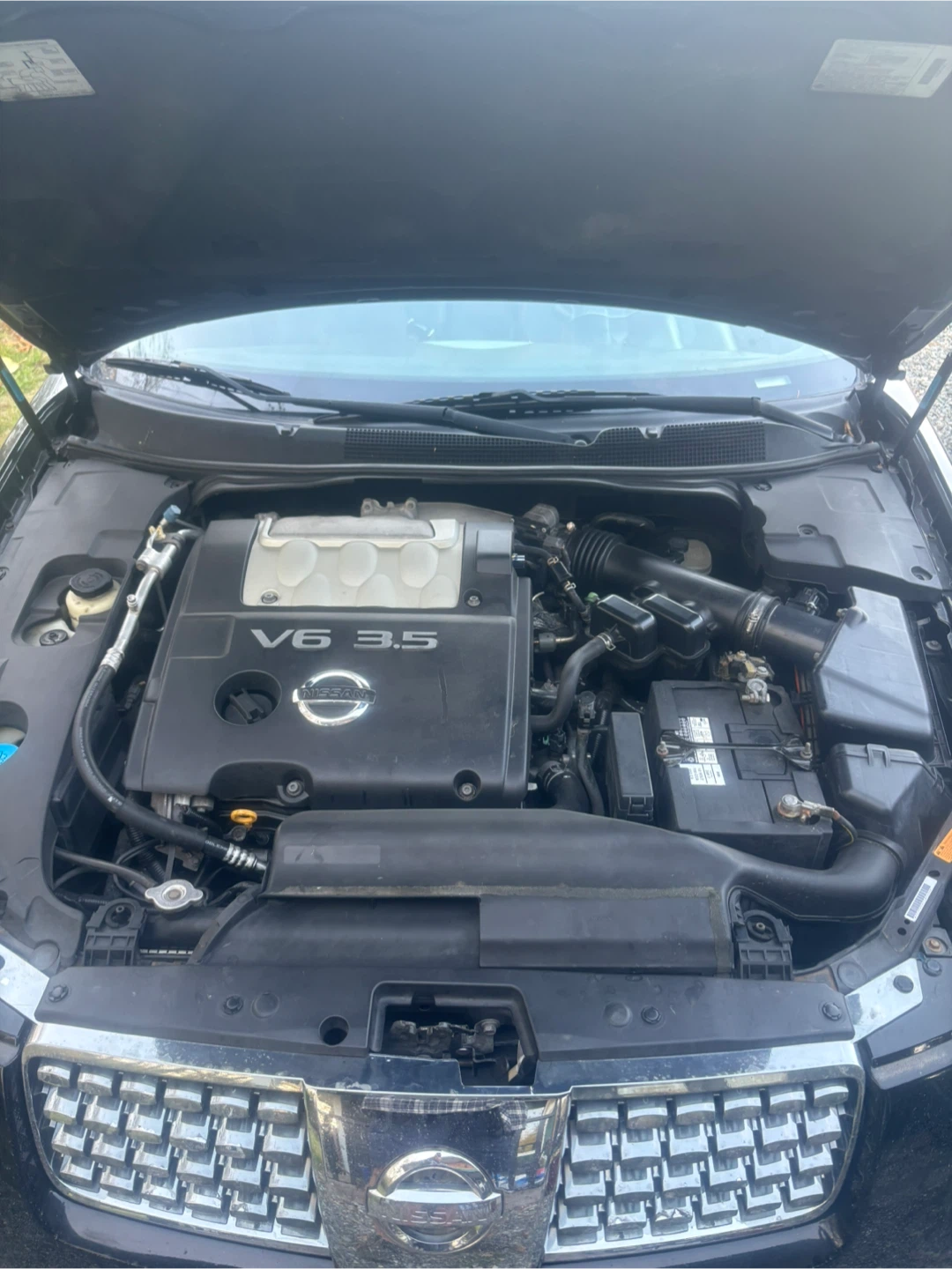 Nissan Maxima 3.5 V6 - photo 2