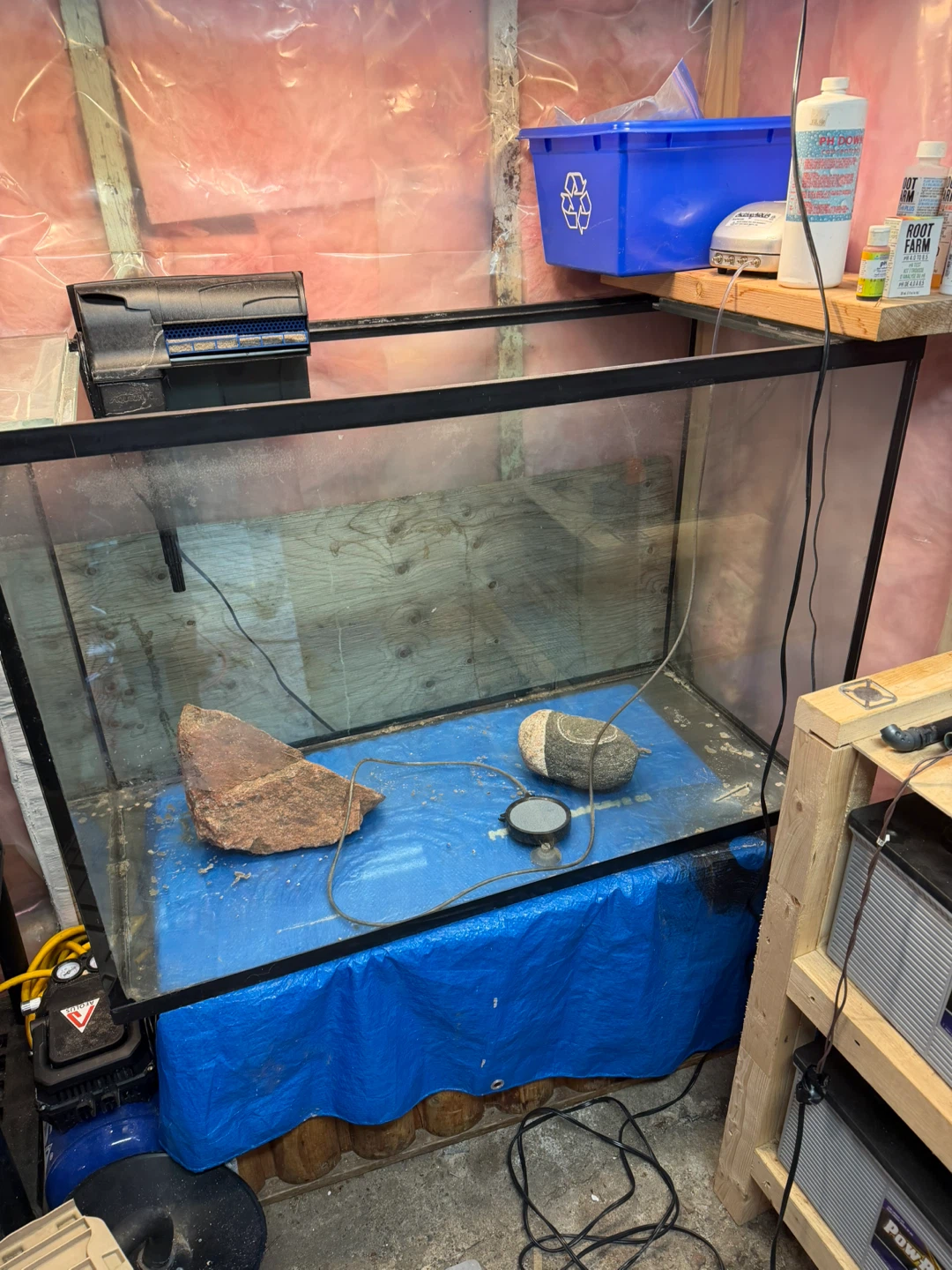 Large Glass Aquarium Tank