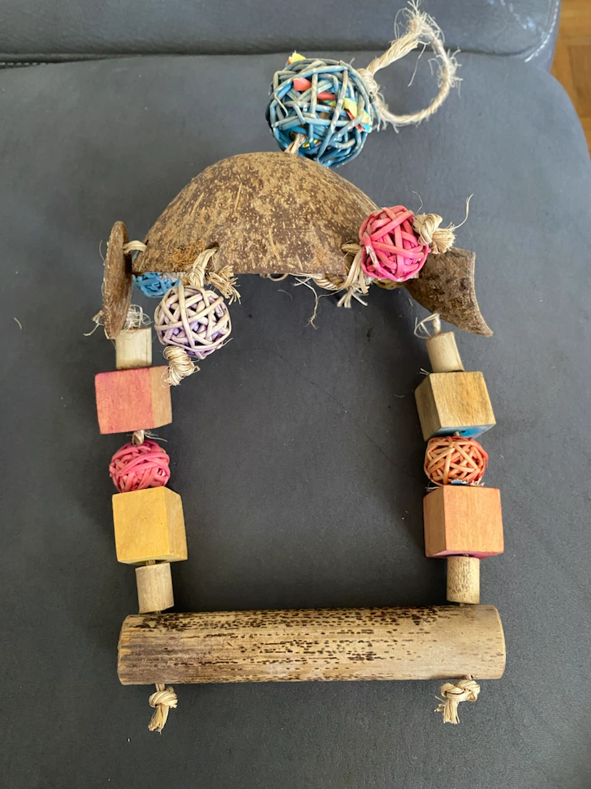 Coconut Shell Bird Swing Toy