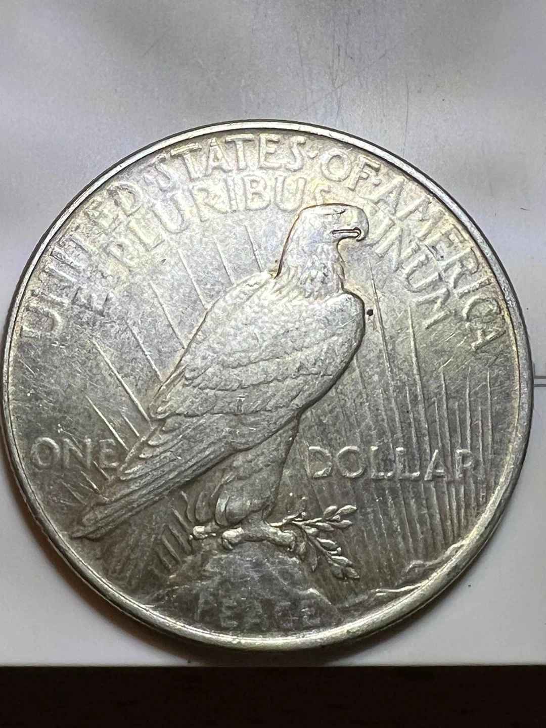 1922 Peace Silver Dollar - photo 2