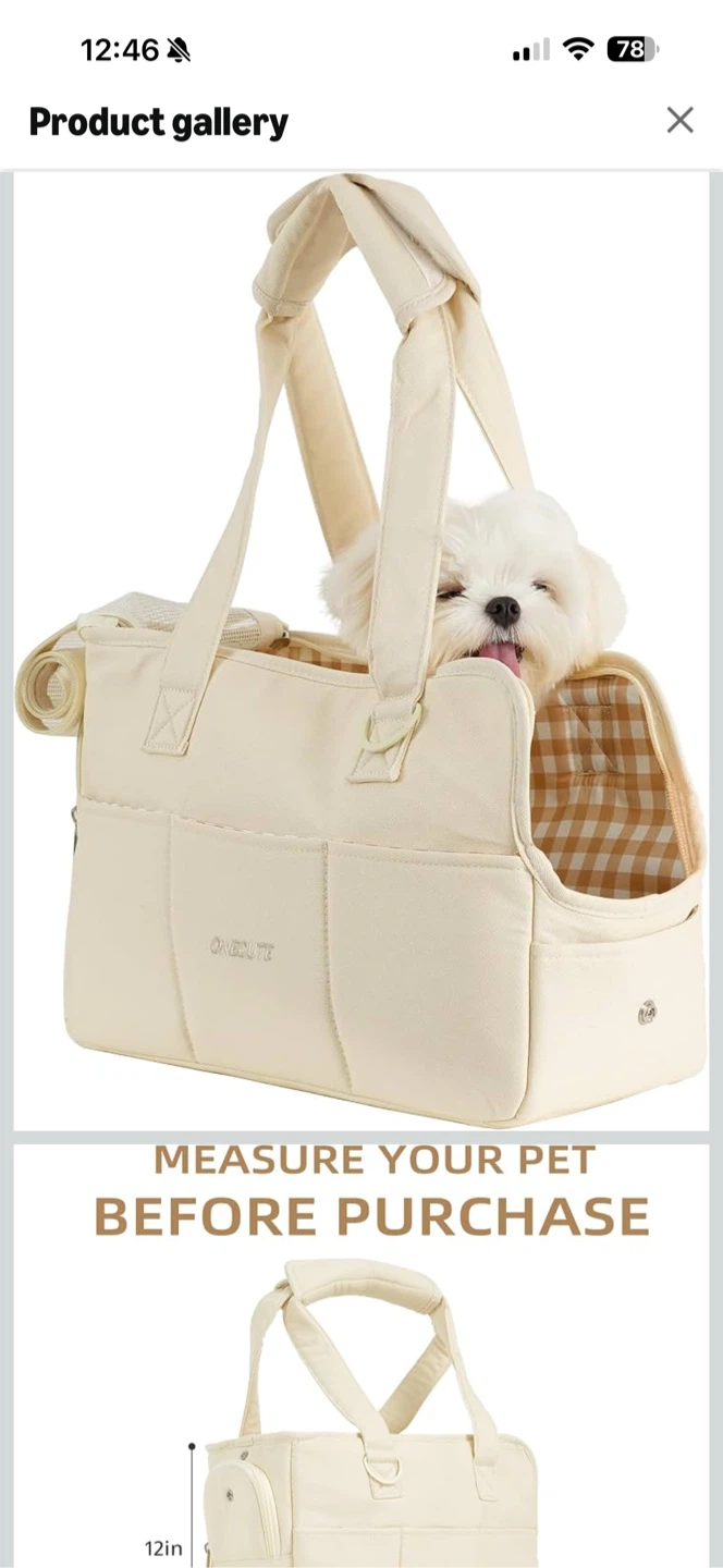 ONECUTE Pet Carrier
