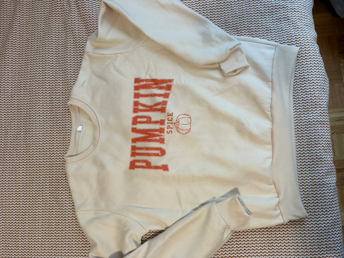 Pumpkin Spice crewneck - L