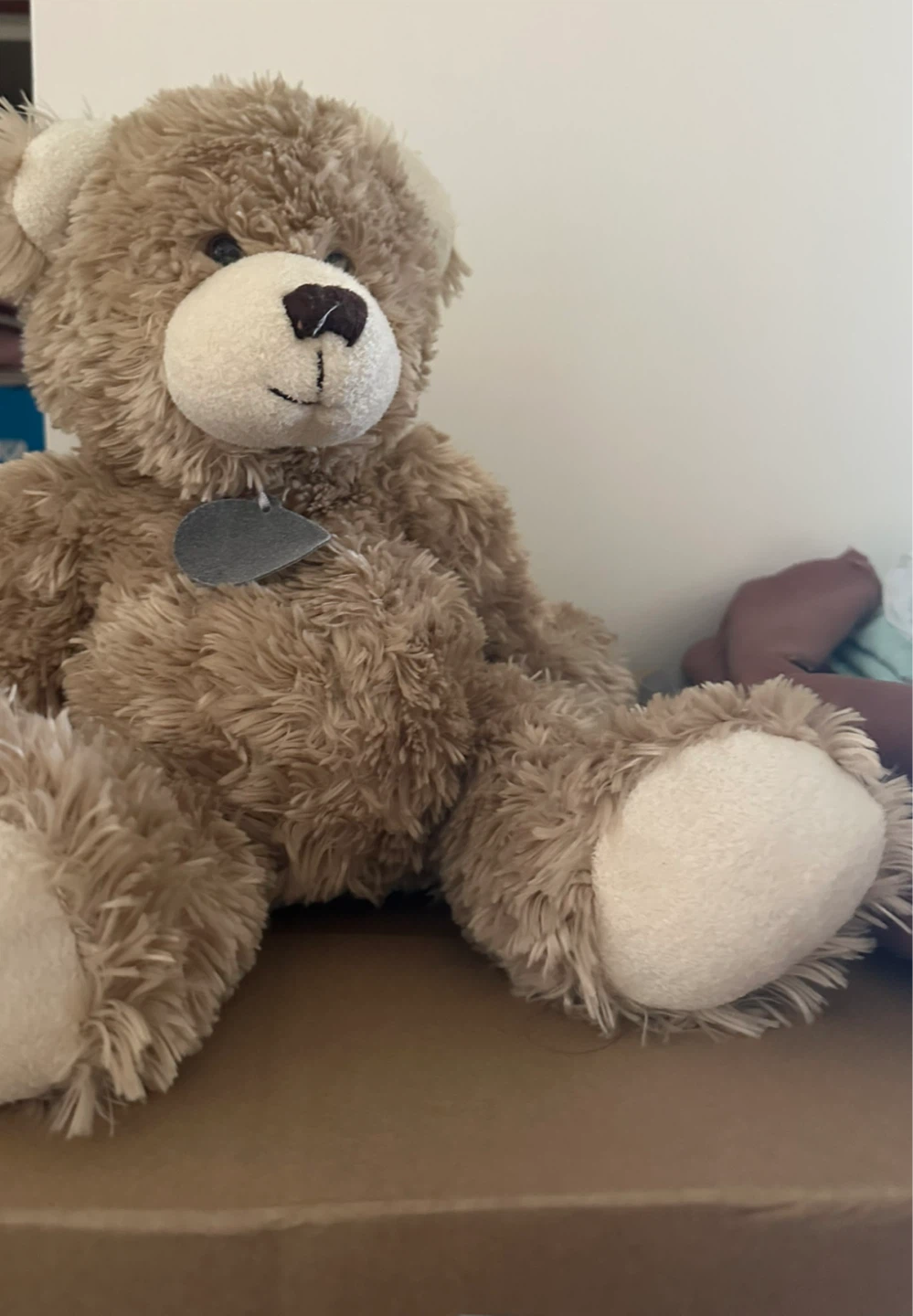 Soft Brown Plush Teddy Bear