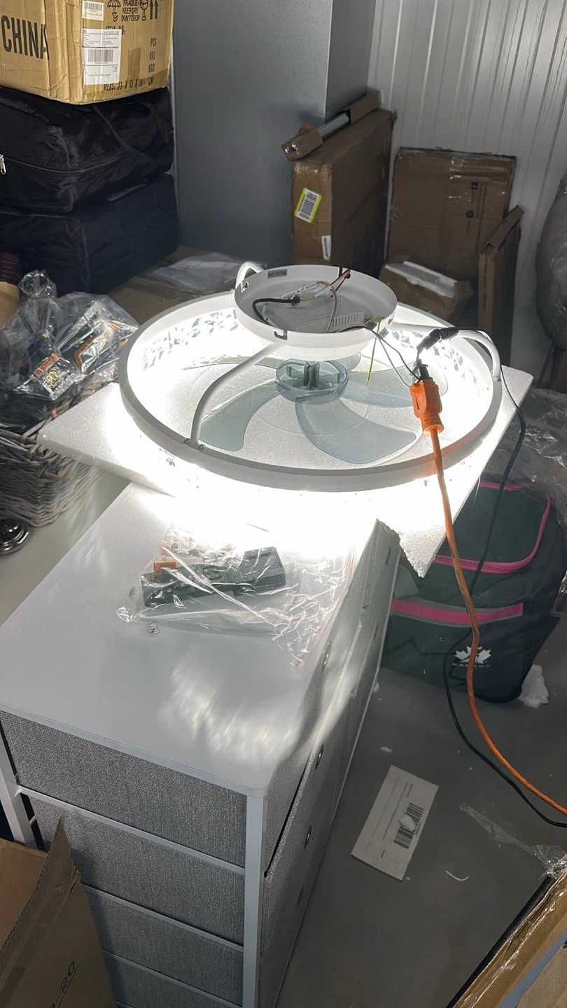 Modern LED Ceiling Fan with Remote