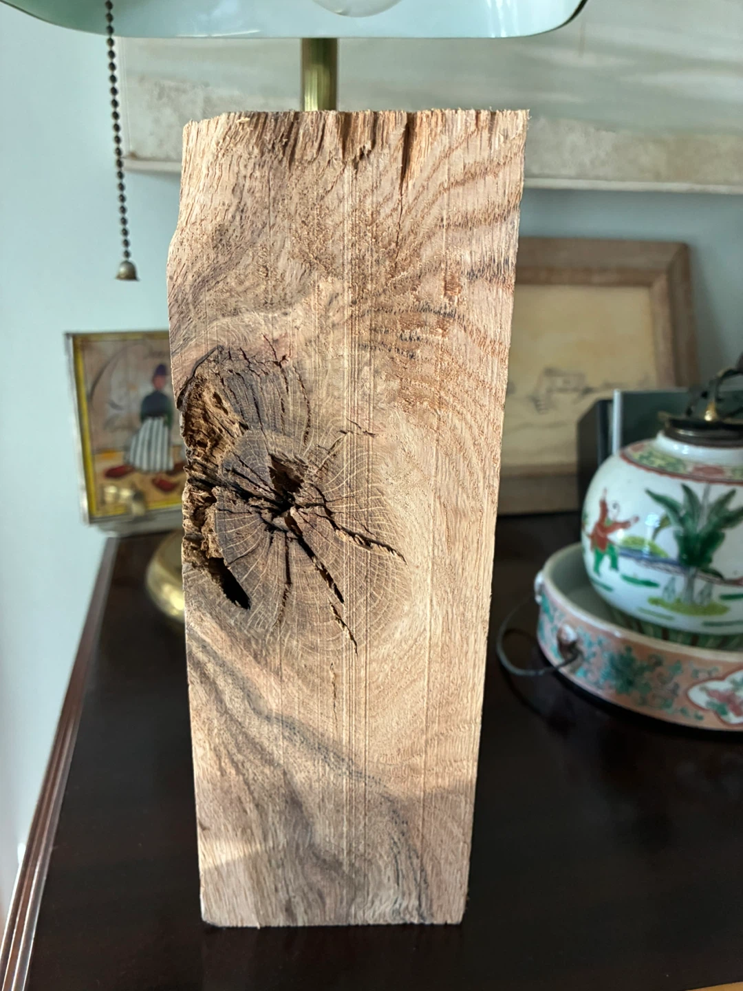 $20 Burl wood art Natural Wood Knot Sculpture Rustic