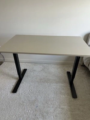 IKEA  Sit/Stand Desk