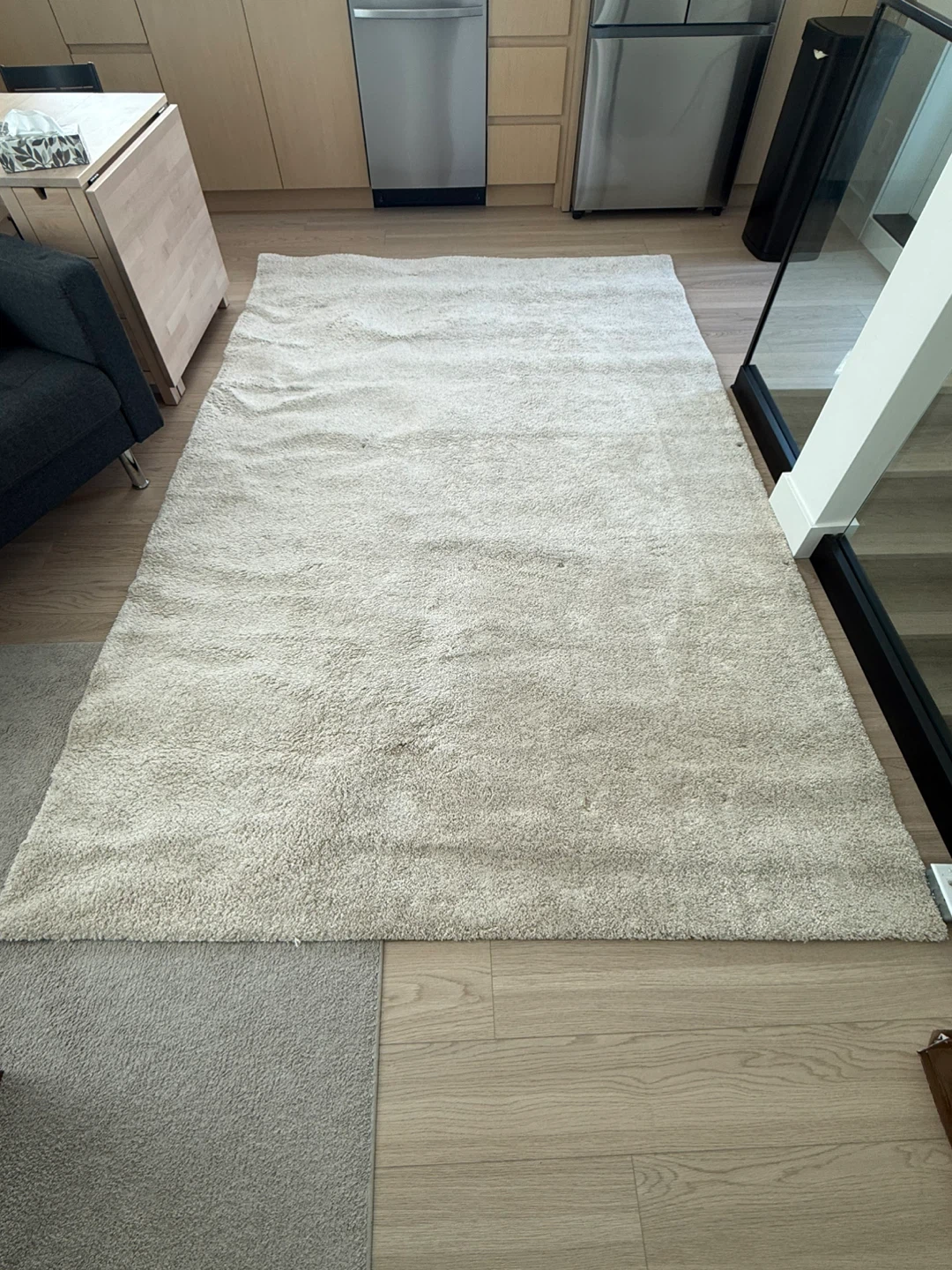 IKEA Large Rug 10x6.5’