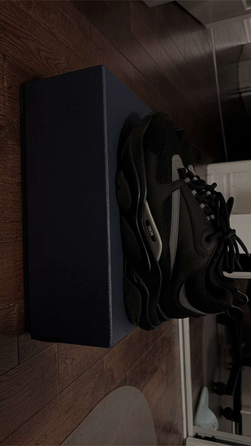 Dior B22 Sneakers Black