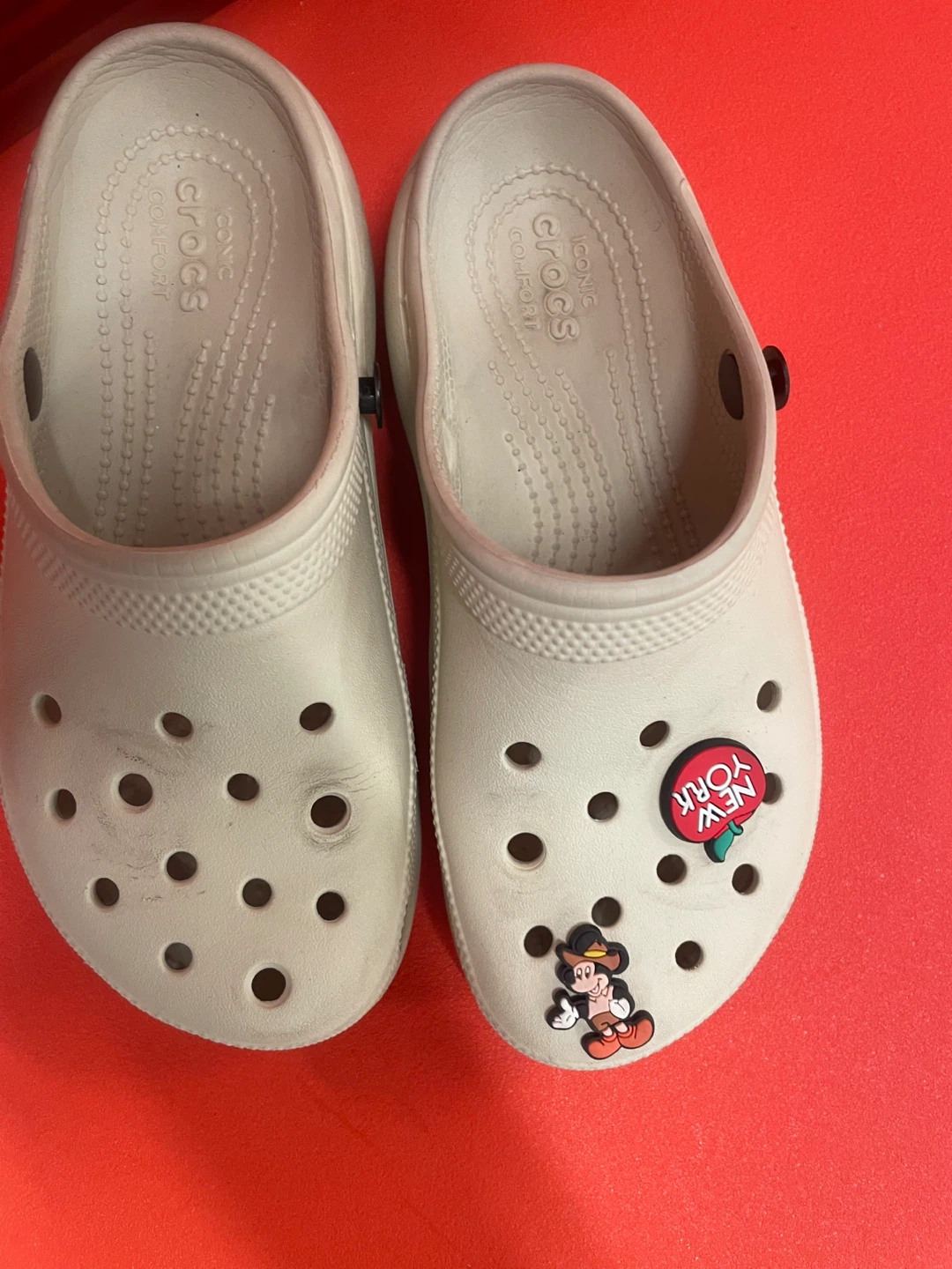 Crocs Clogs with Jibbitz