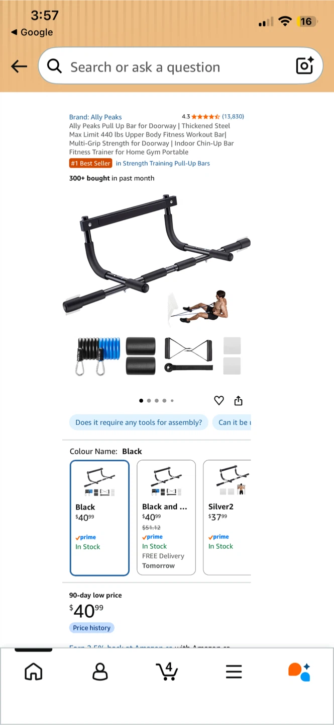 Ally Peaks Doorway Pull Up Bar
