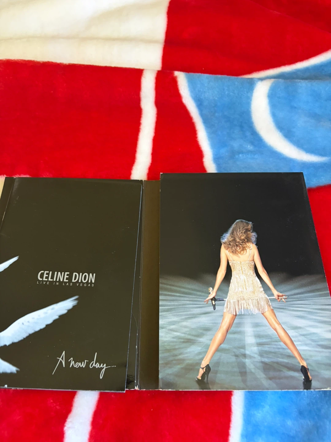 Celine Dion Live In Las Vegas A New Day 2-Disc DVD - photo 3