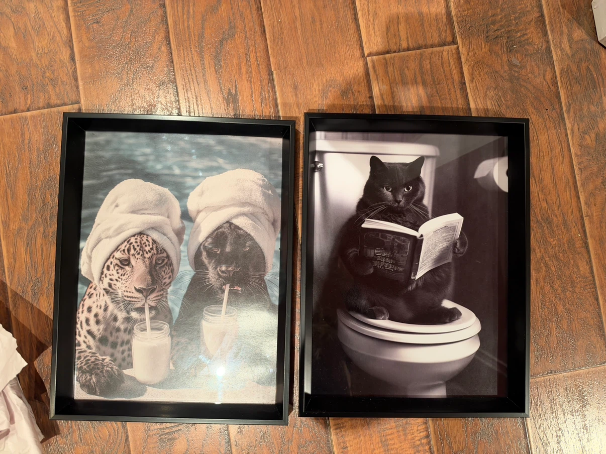 Set of 2 Animal Framed Art Prints