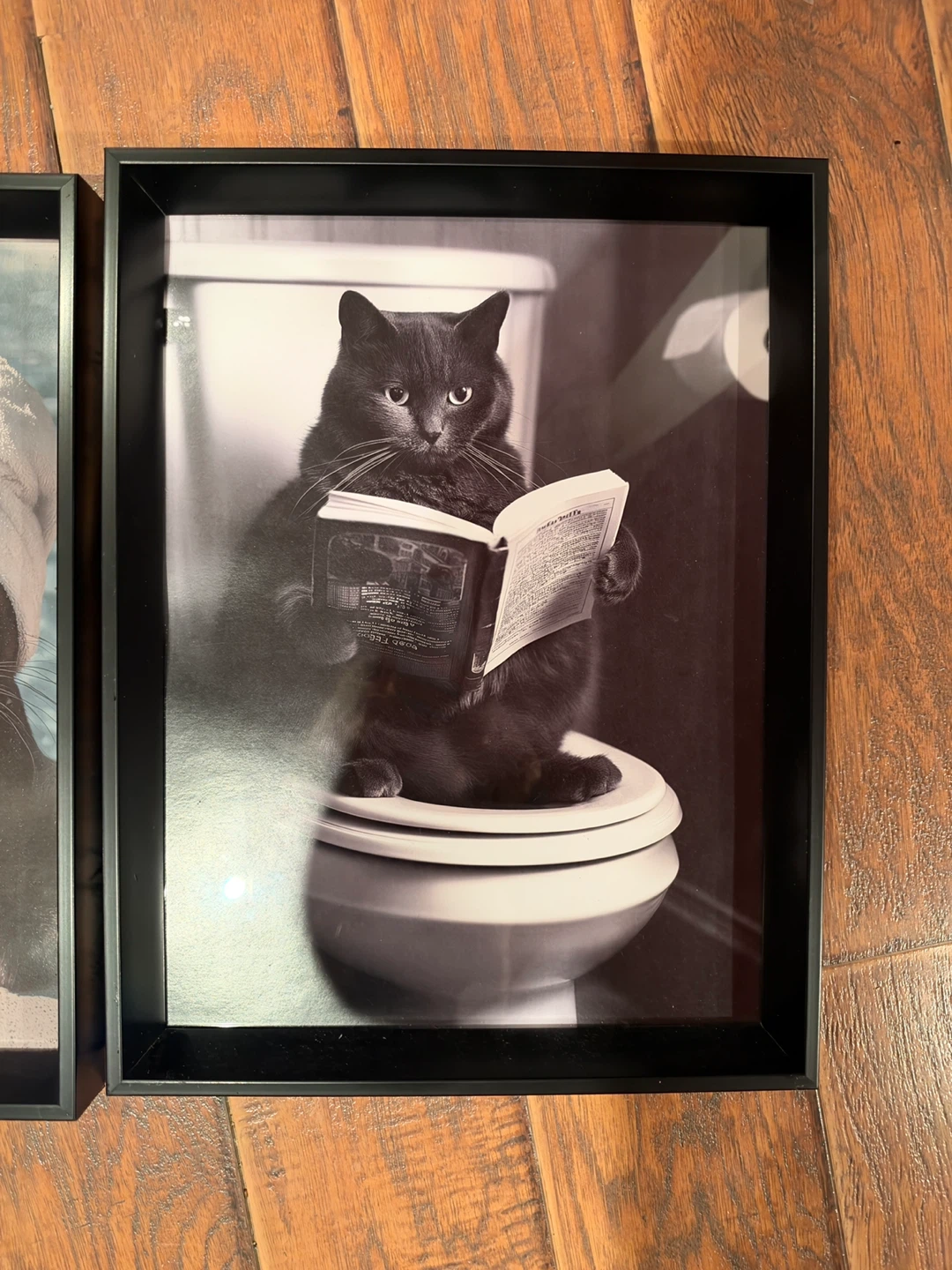 Set of 2 Animal Framed Art Prints - photo 2