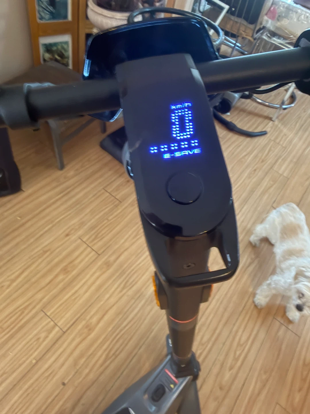 NIU KQI 2 pro