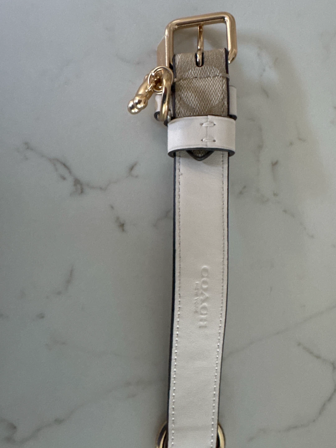 Coach Signature Canvas Dog Collar - photo 2
