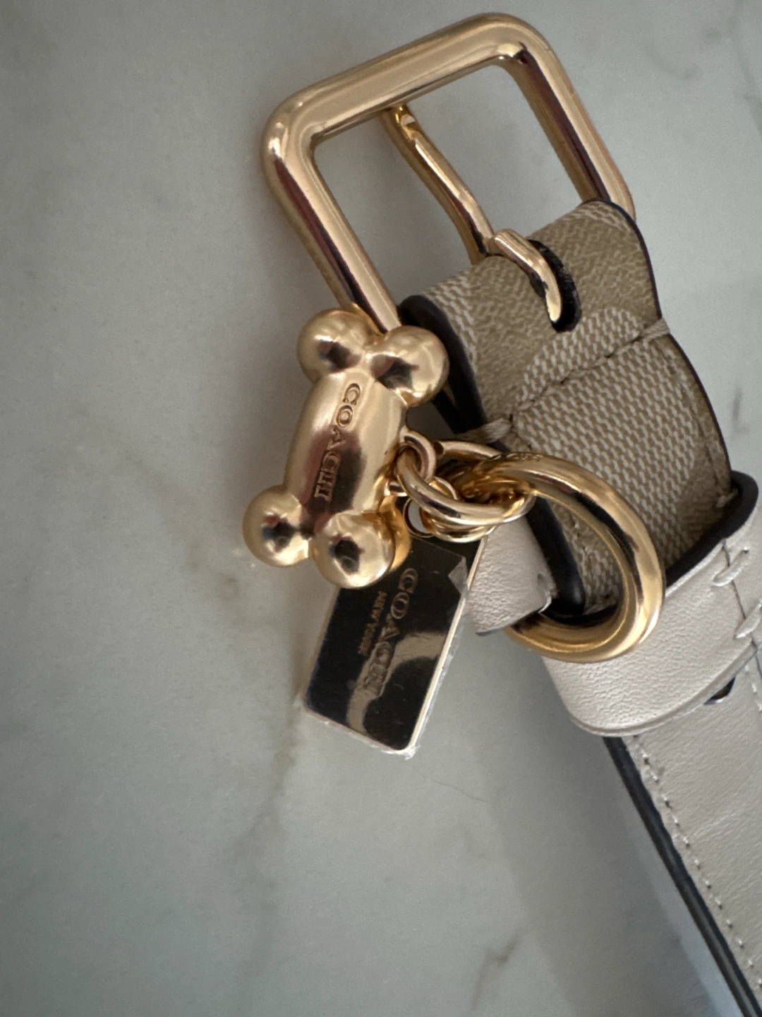 Coach Signature Canvas Dog Collar - photo 3