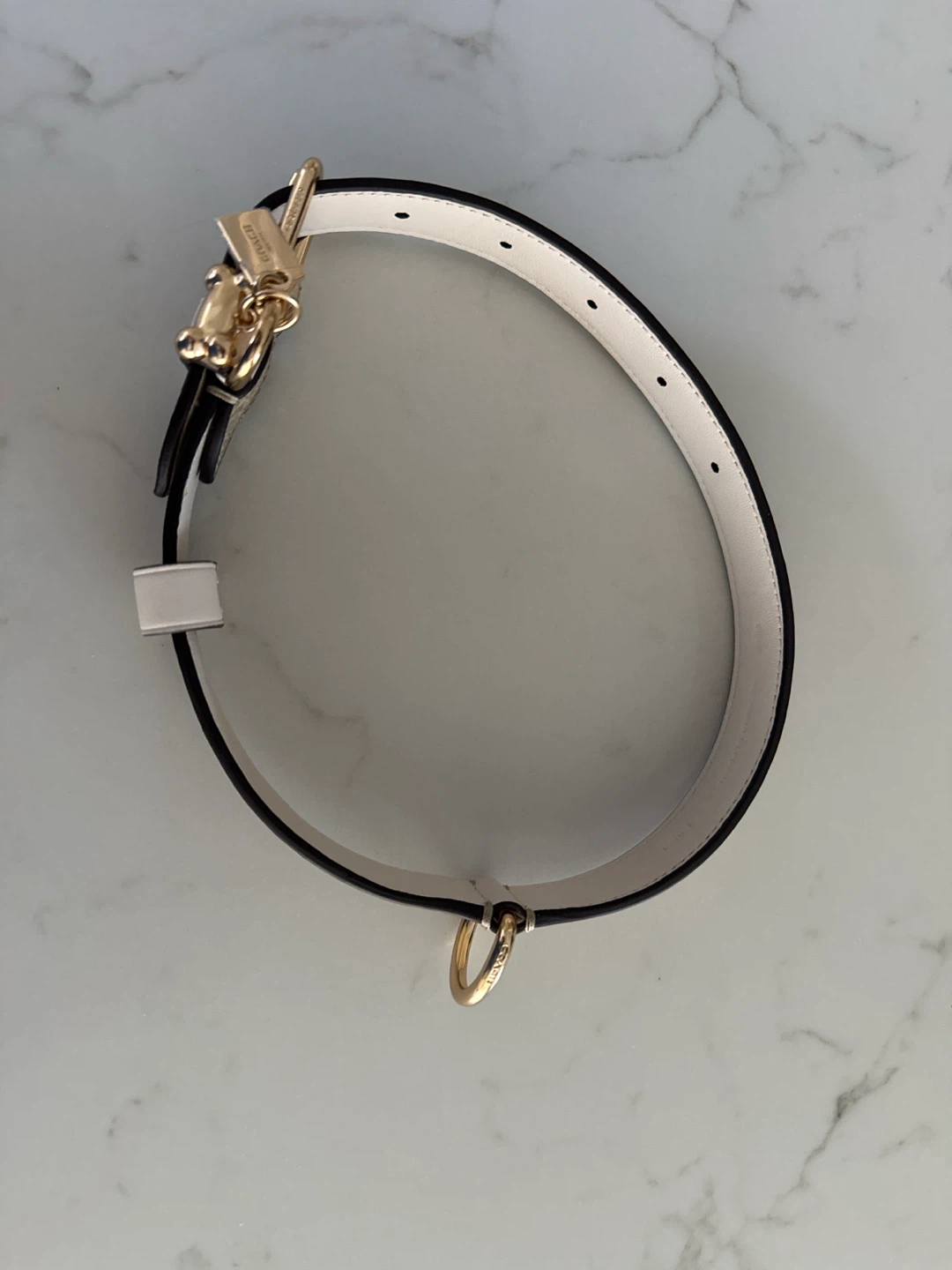 Coach Signature Canvas Dog Collar - photo 4