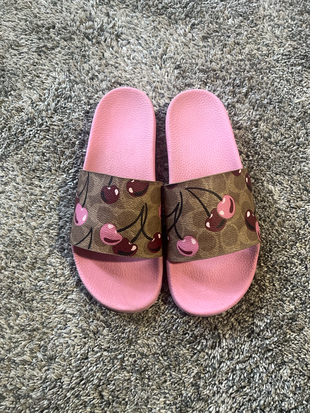 Coach Cherry Slides