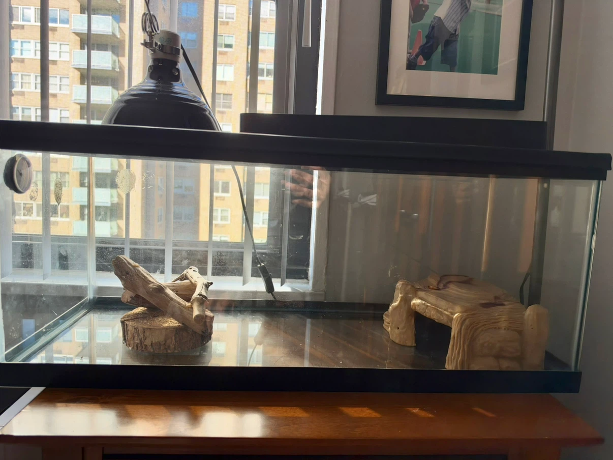 Reptile Terrarium Tank with 2 Lamps