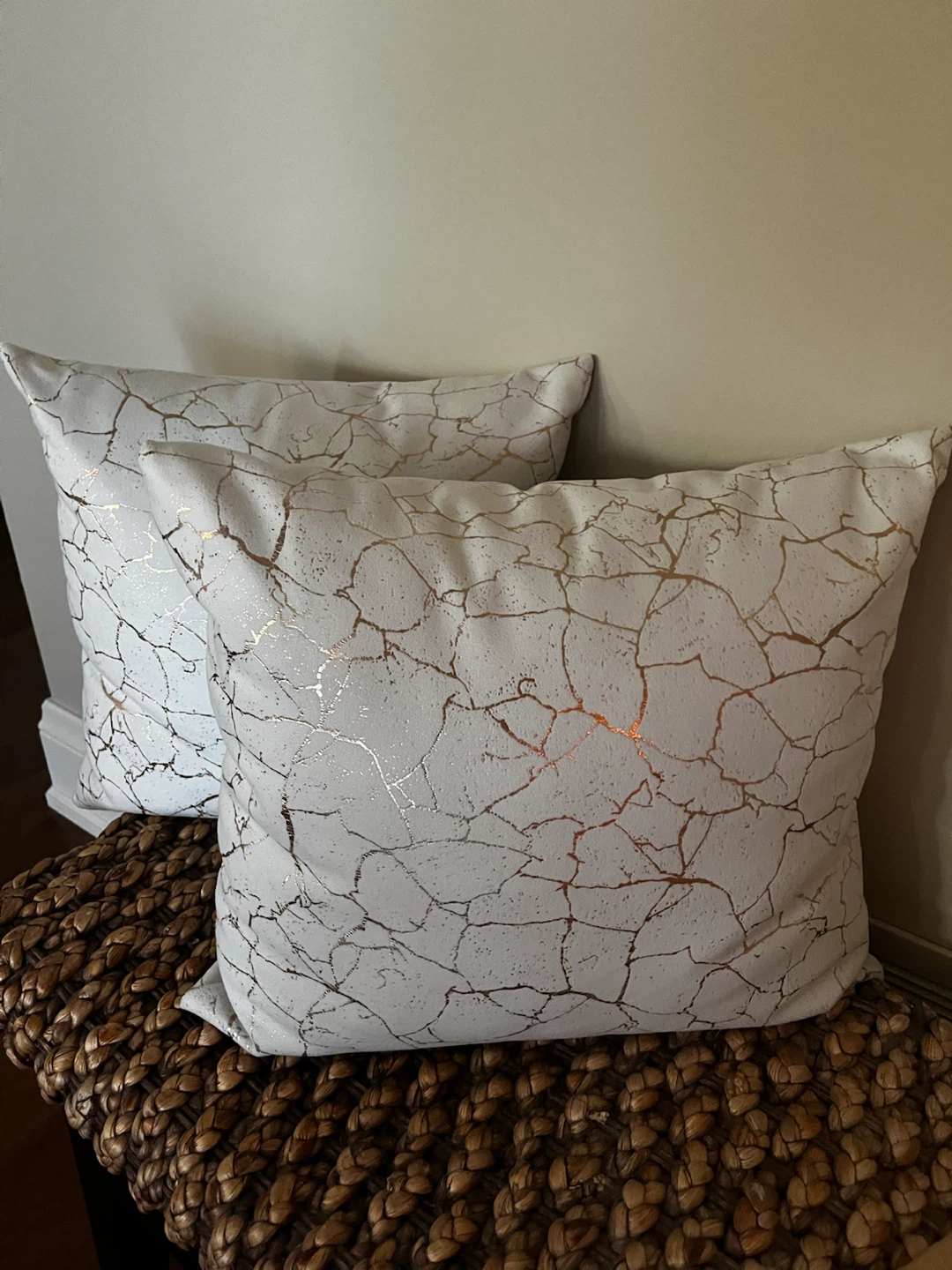 Decorative Throw Pillows- Set of 2