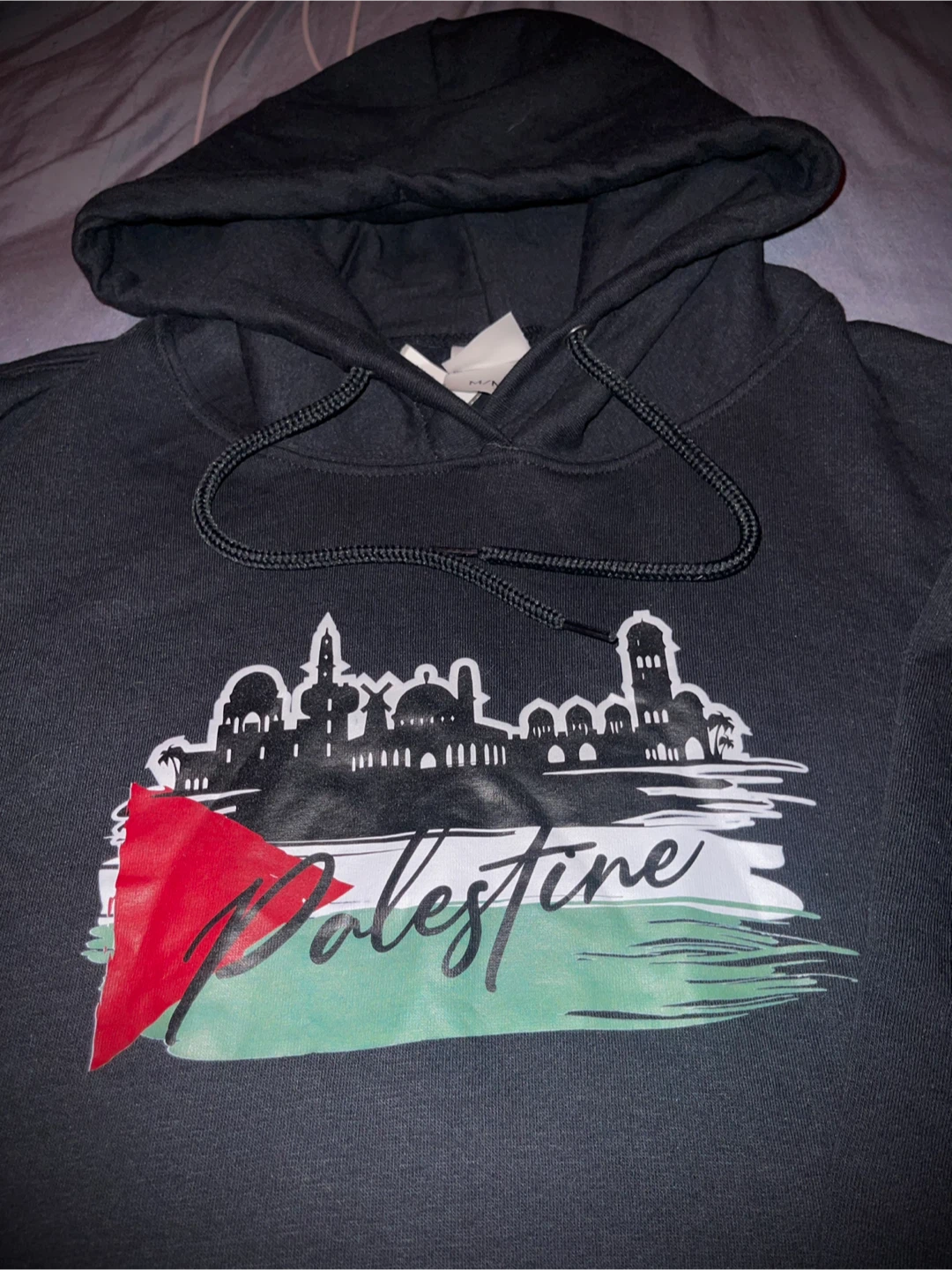 ATC The Authentic T-Shirt Company Palestine Graphic Hoodie - photo 2