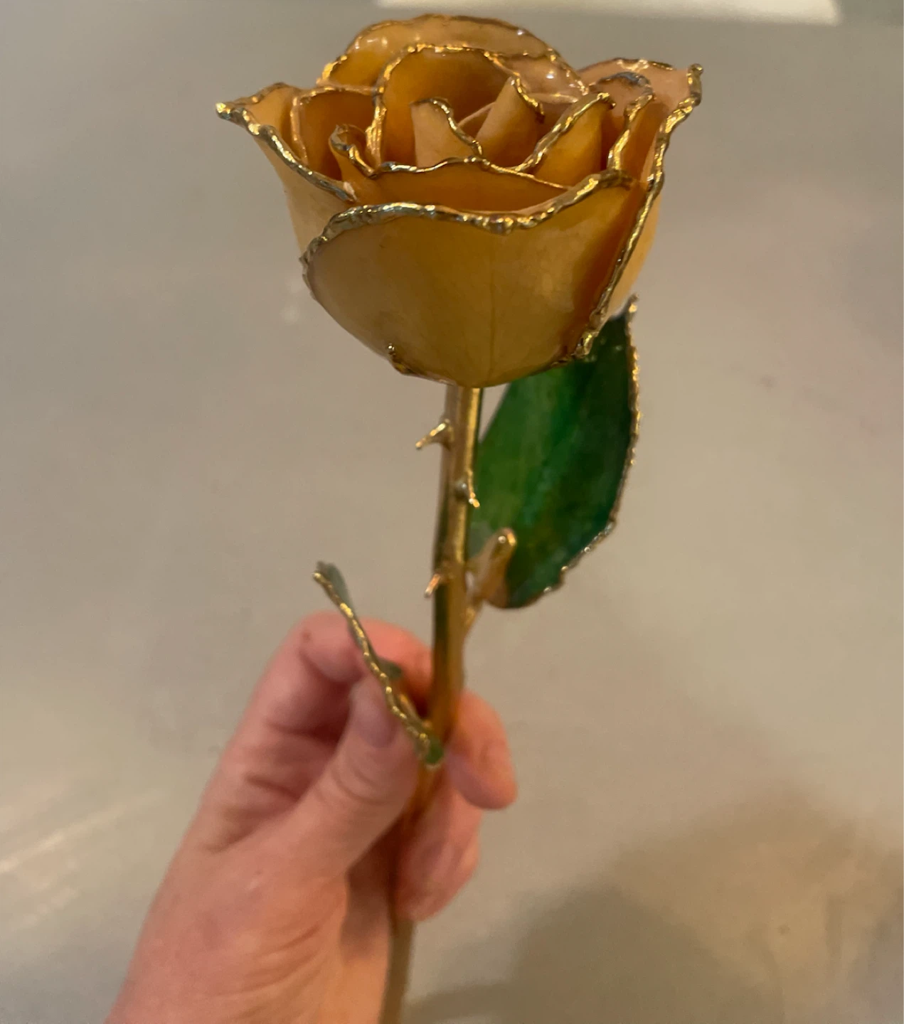 Gold dipped rose