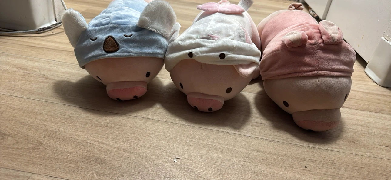 Set of 3 Miniso Pig Plushies - photo 3