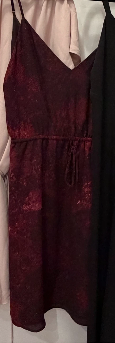 Babaton Aritzia dress