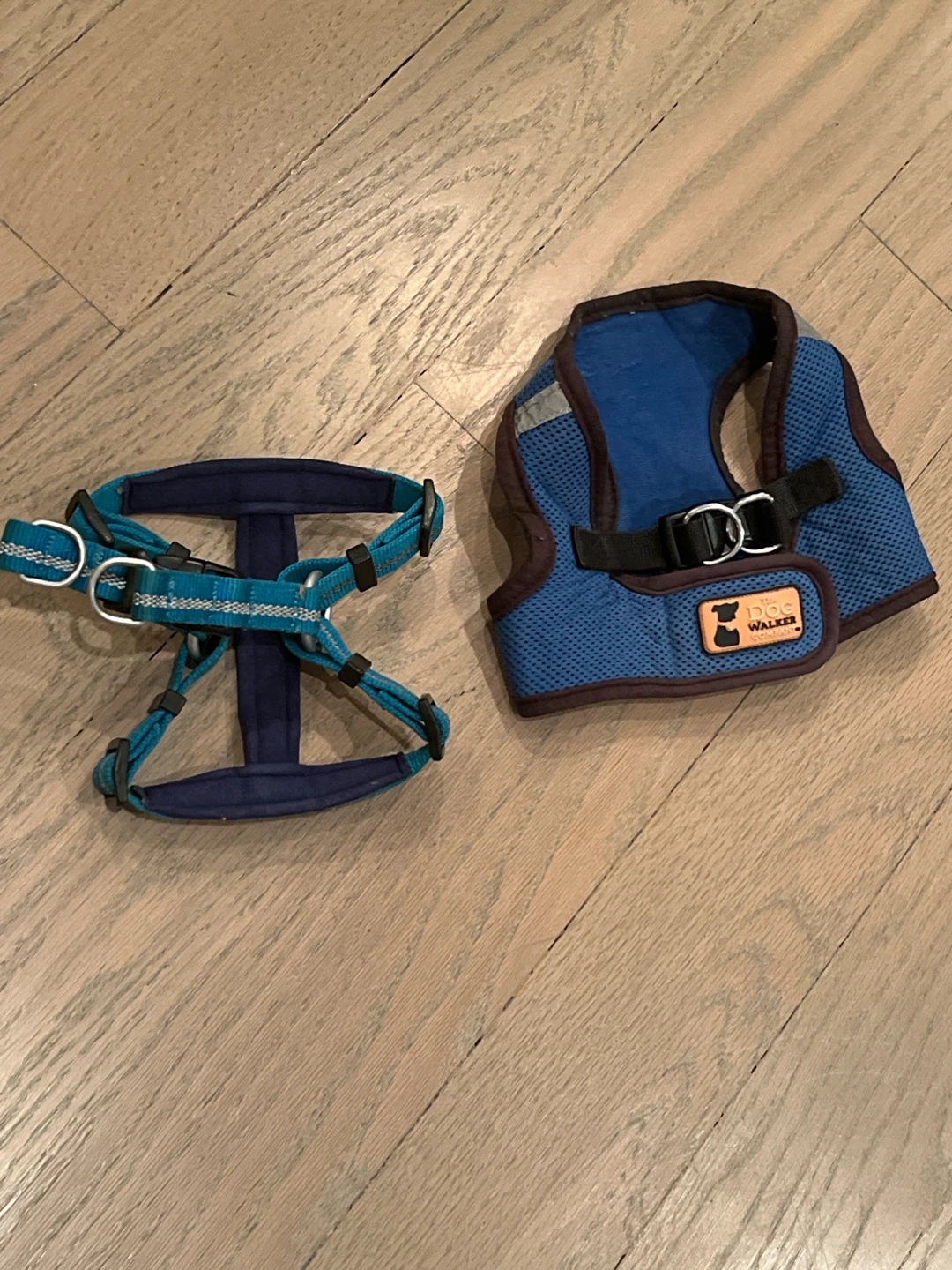 Set of Two Dog Harnesses