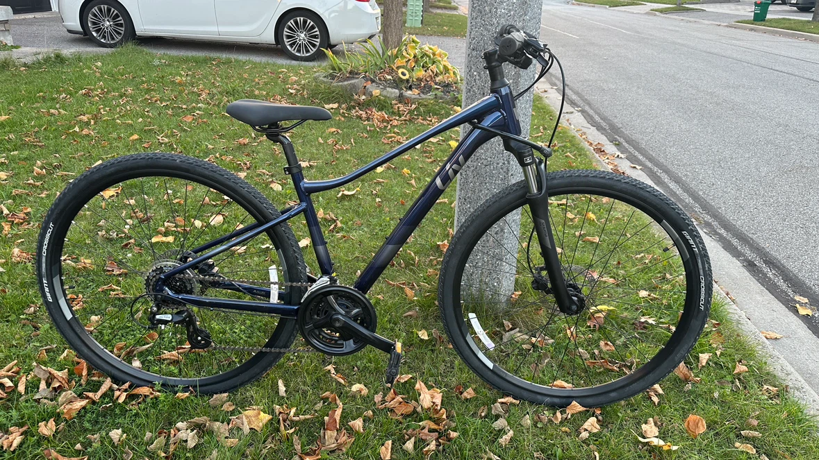 Liv Rove Hybrid Bicycle