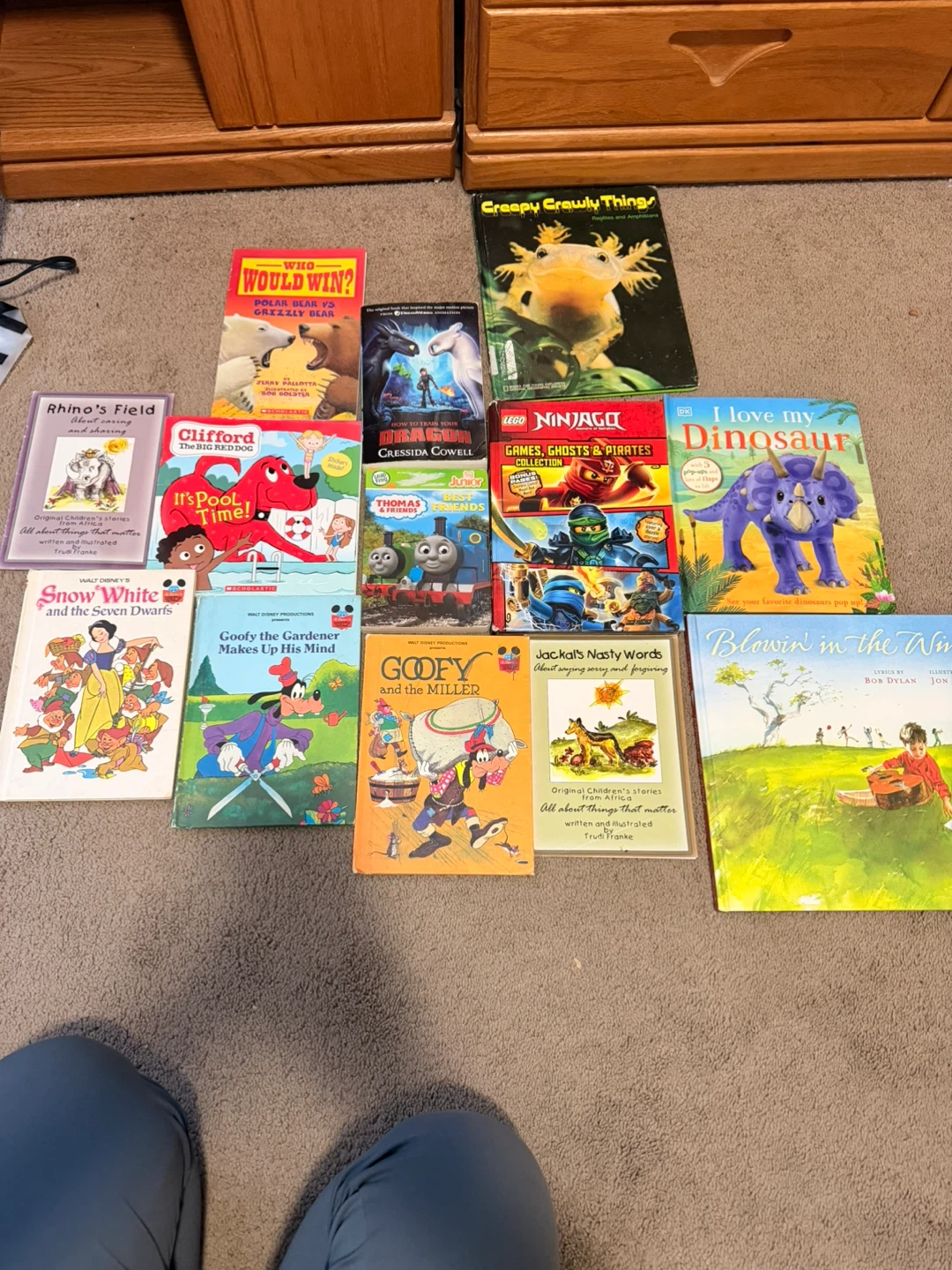 Assorted Children's Book Collection