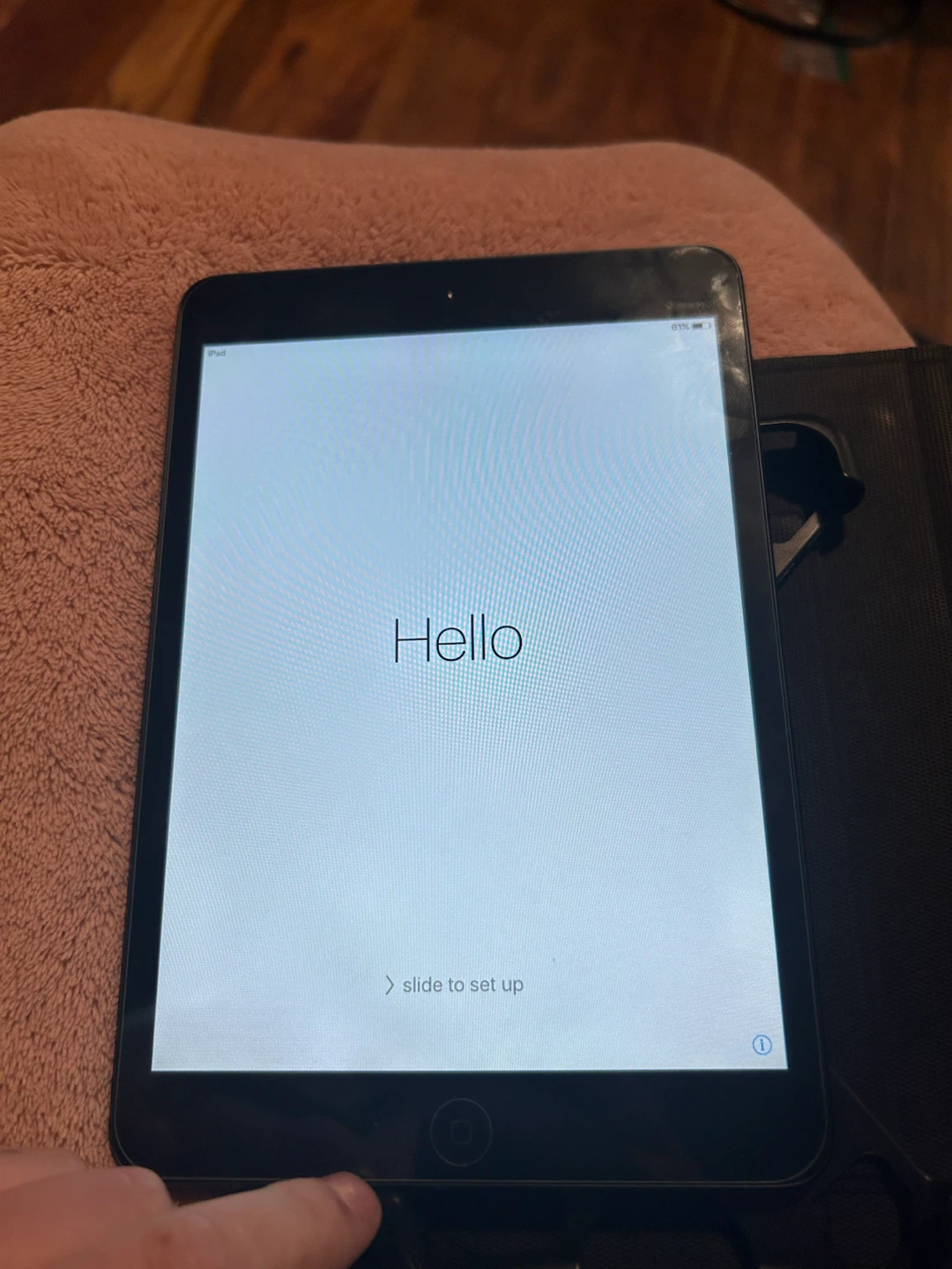 Apple iPad
